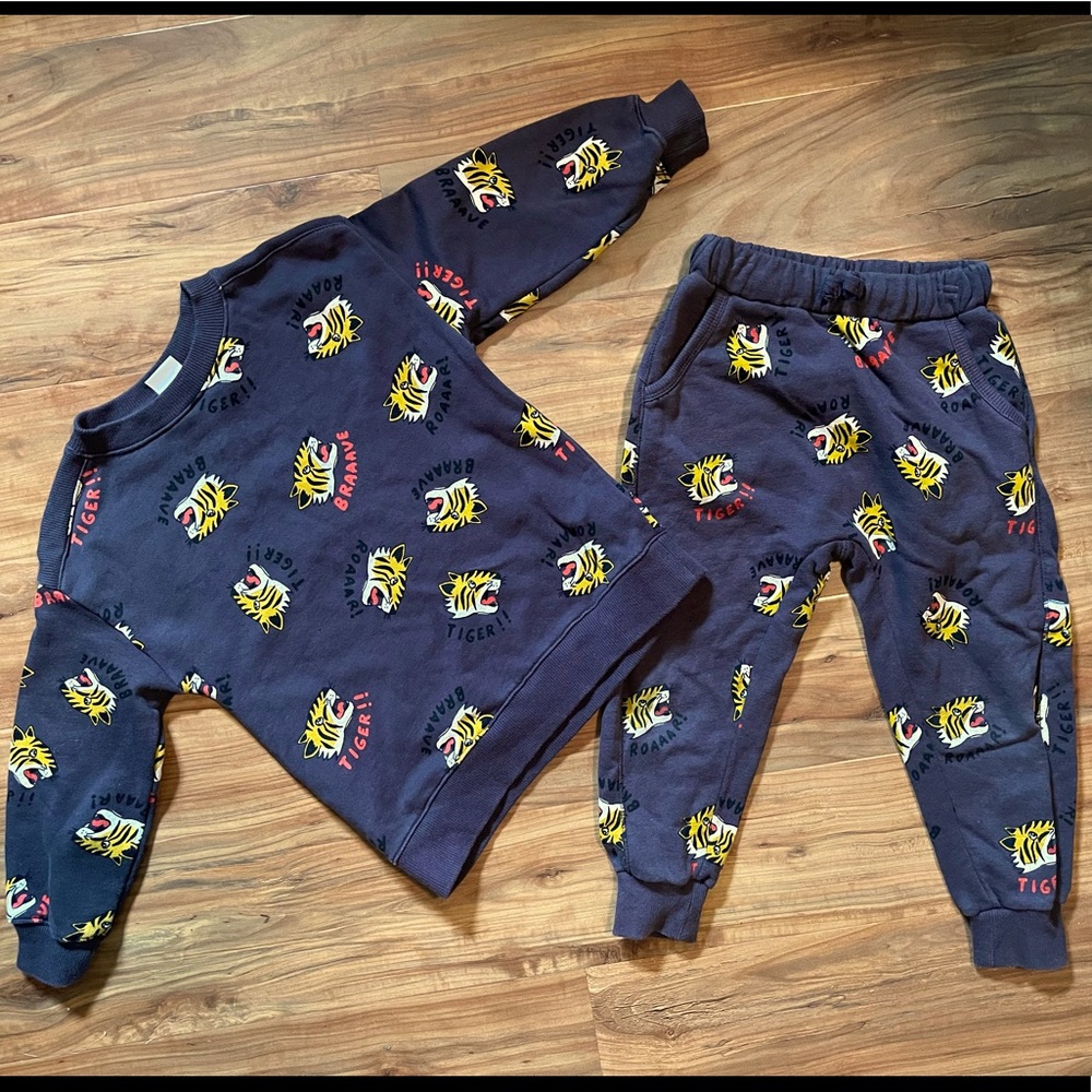 Zara Tiger Sweatshirt & Joggers
